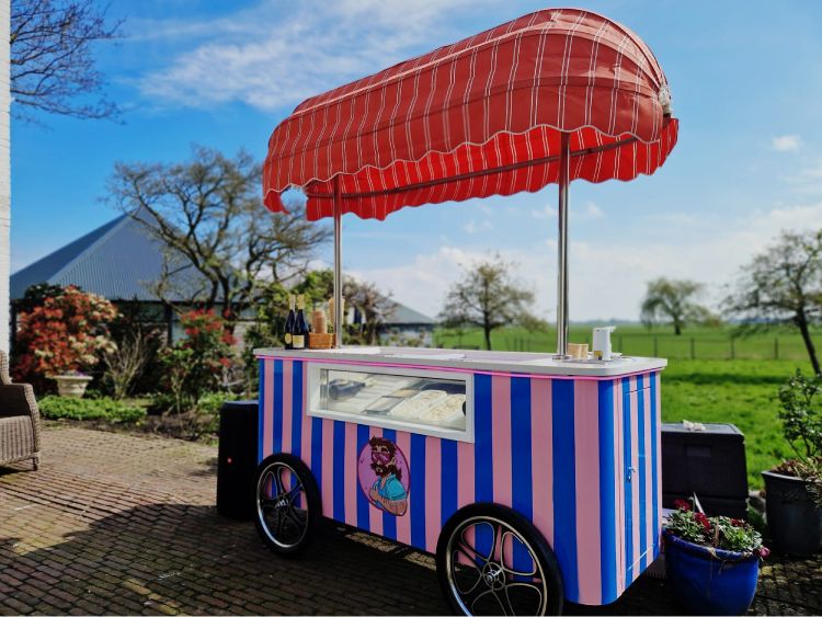 Ice-Cream-Push-Cart-for-Sale
