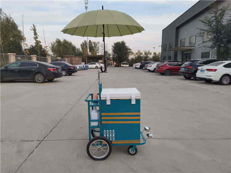 Street Used 2 Wheels Gelato Push Ice Cream Selling Cart For Events