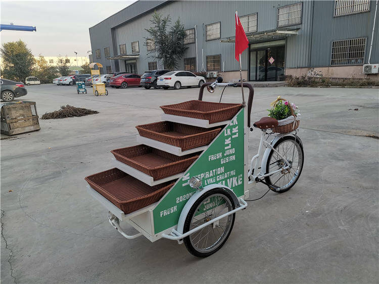 Professional Ice Cream Cart