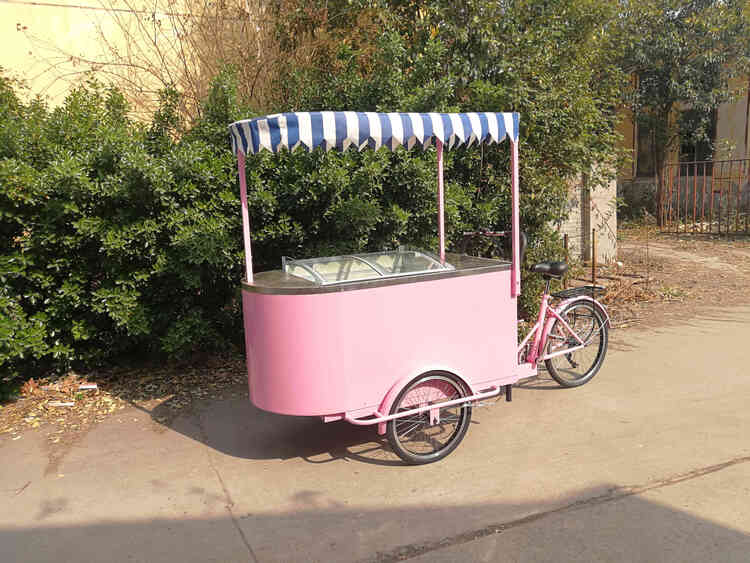 Bicycle carts for sale discount