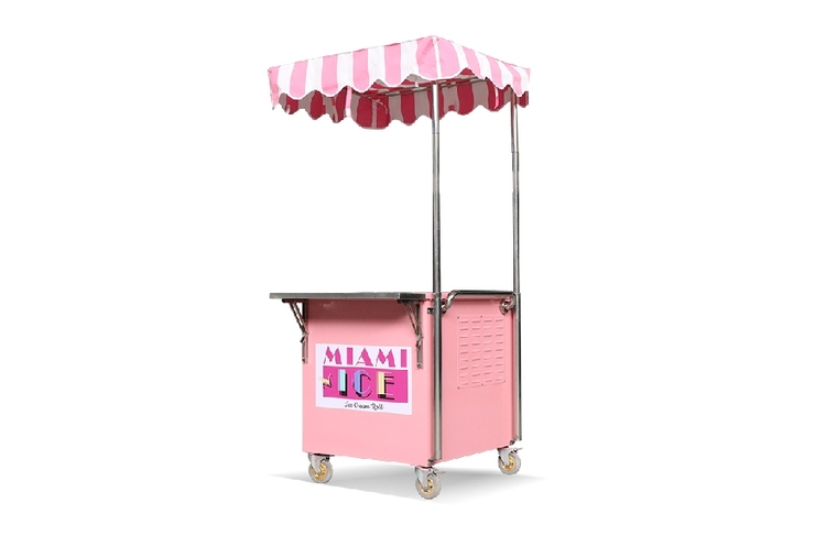 Outdoor Ice Cream Cart Style  Mobile Food Cart Stand Retail Ice Cream  Booth for Sale