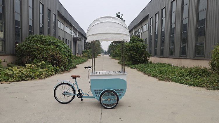 Bicycle Ice Cream Cart for Sale