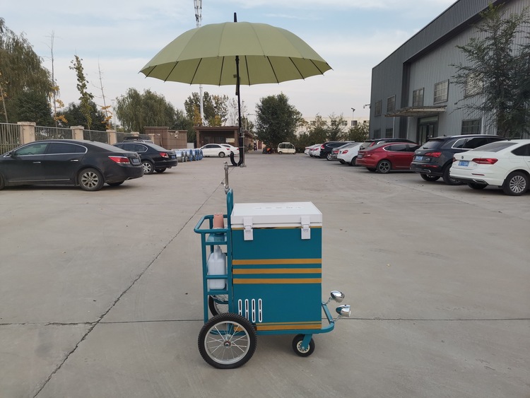 Small Ice Cream Push Cart for Sale