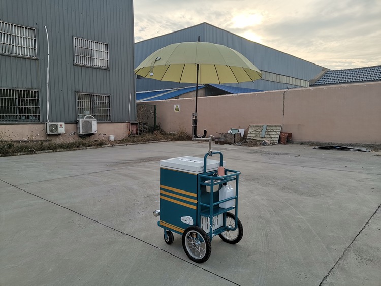 small ice cream push cart for sale (2)