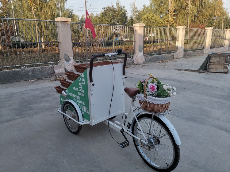 Street Food Vending Carts for Sale Tricycle Vending Cart ETO