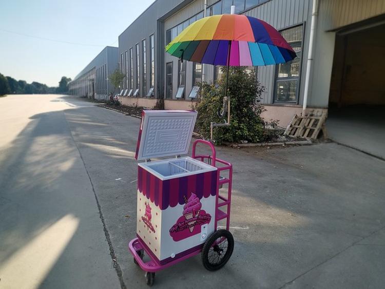 Small Ice Cream Push Cart