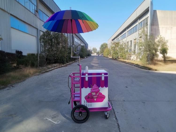 Small Ice Cream Push Cart
