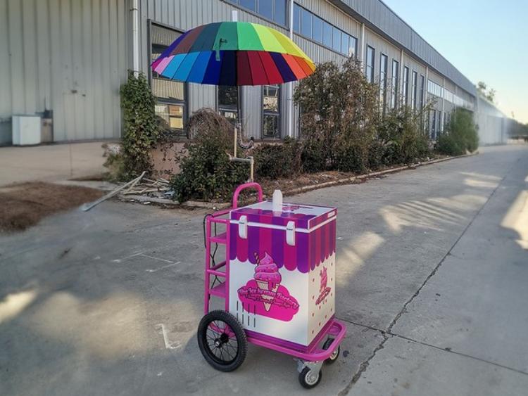 Small Ice Cream Push Cart