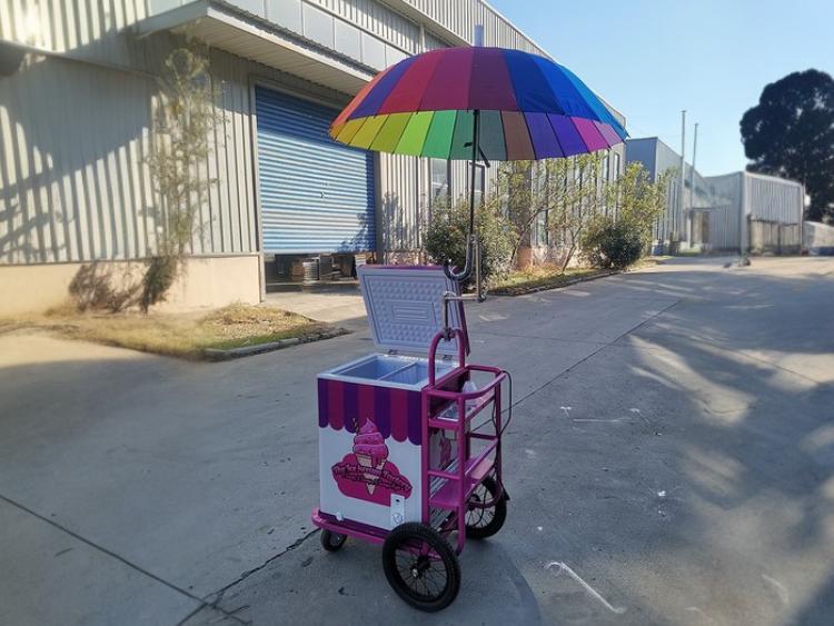 Small Ice Cream Push Cart