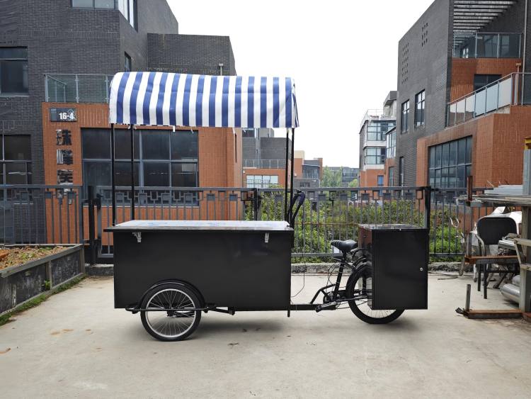Classic Foldable Coffee Bike for Sale USA