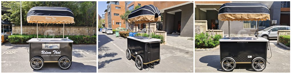 Ice Cream Cart for Sale USA