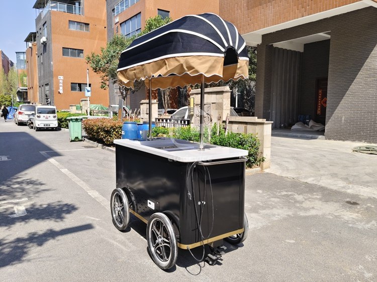 Ice Cream Cart for Sale – Start Your Mobile Dessert Business